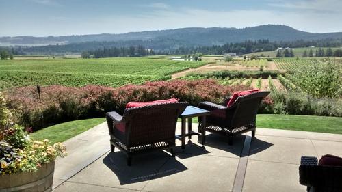 NW Vineyard