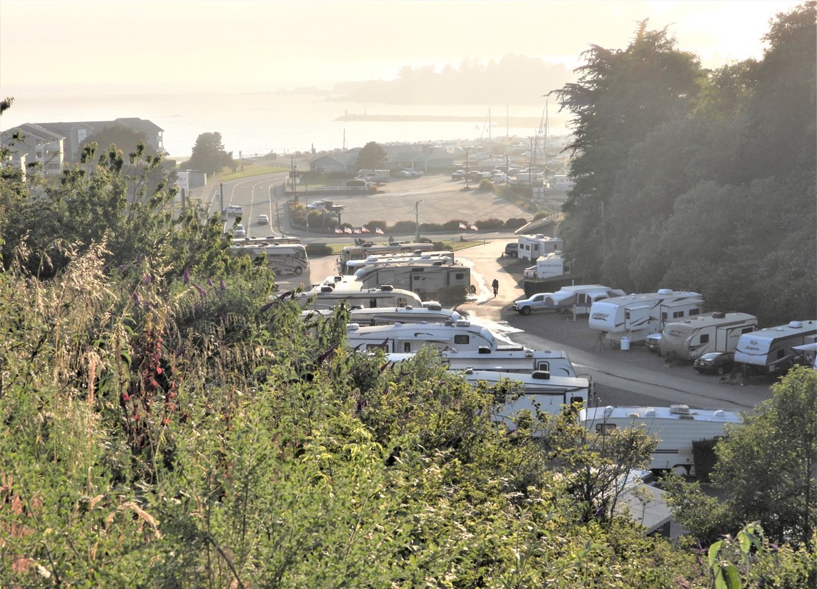 View of the campground at Driftwood RV Park in Brookings, Oregon