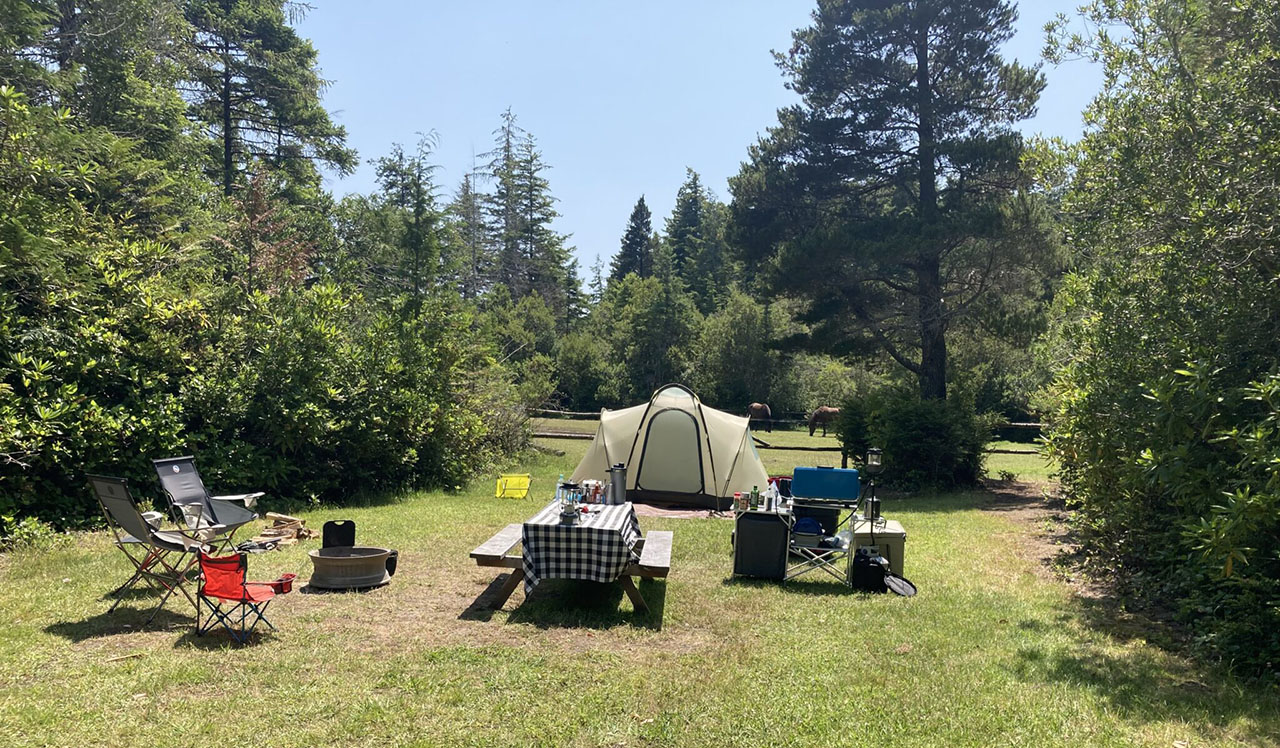 Camp sites at Dew Valley Ranch in Bandon, Oregon