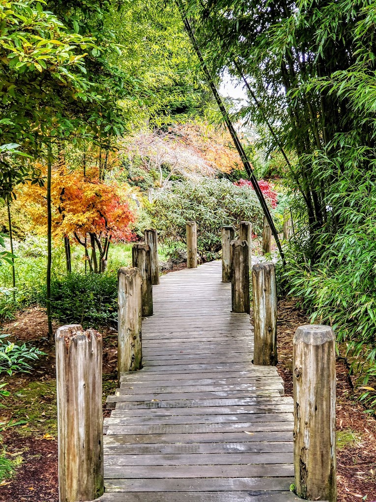 Boardwalk at Mingus Park in Coos Bay, Oregon