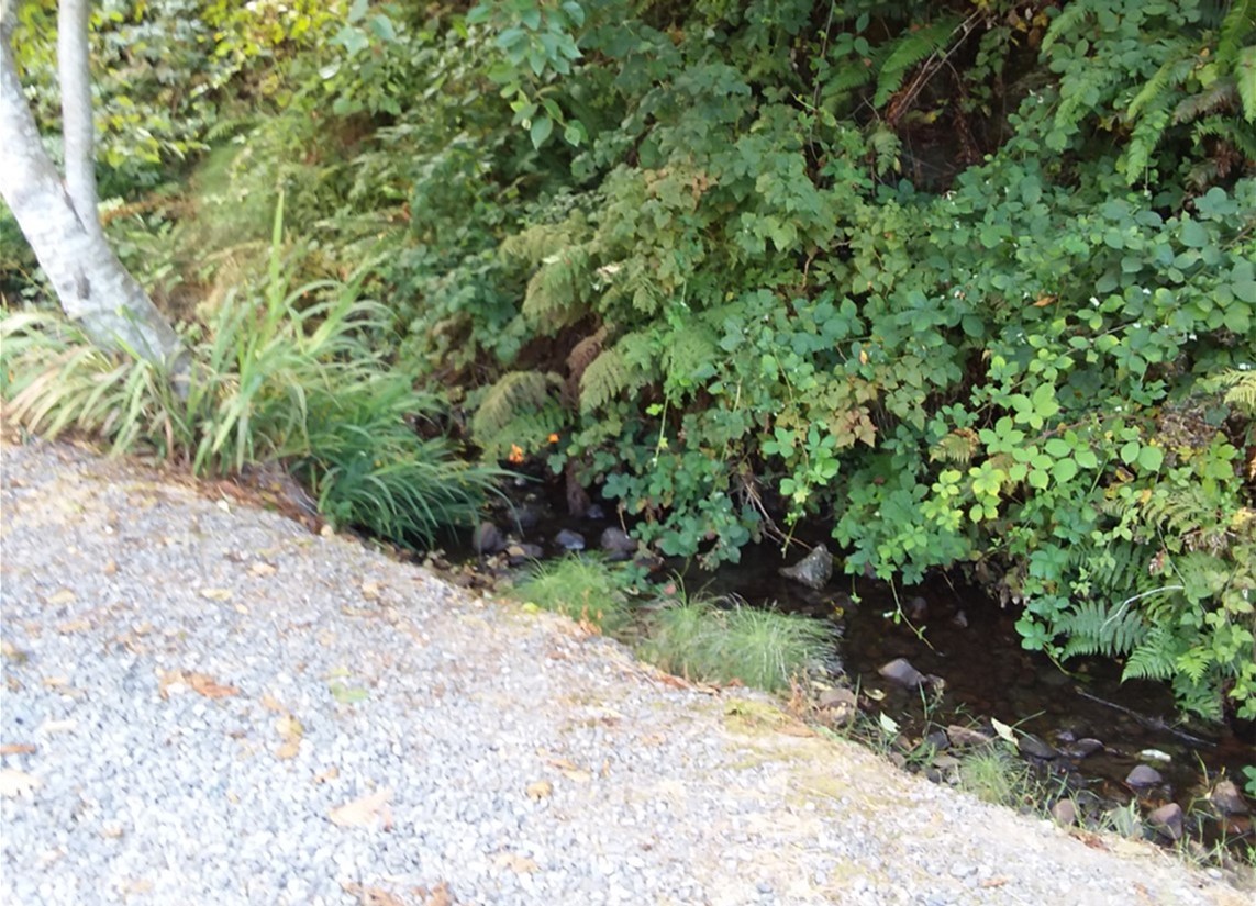 Tuttle Creek at Driftwood RV Park in Brookings, Oregon