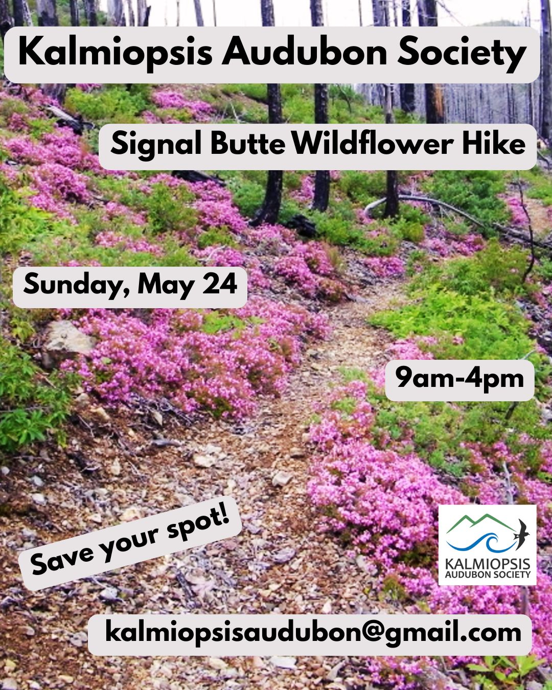 Kalmiopsis-Audubon-Society-Signal-Butte-Wildflower-Hike-by-CharlieJStephens.jpg