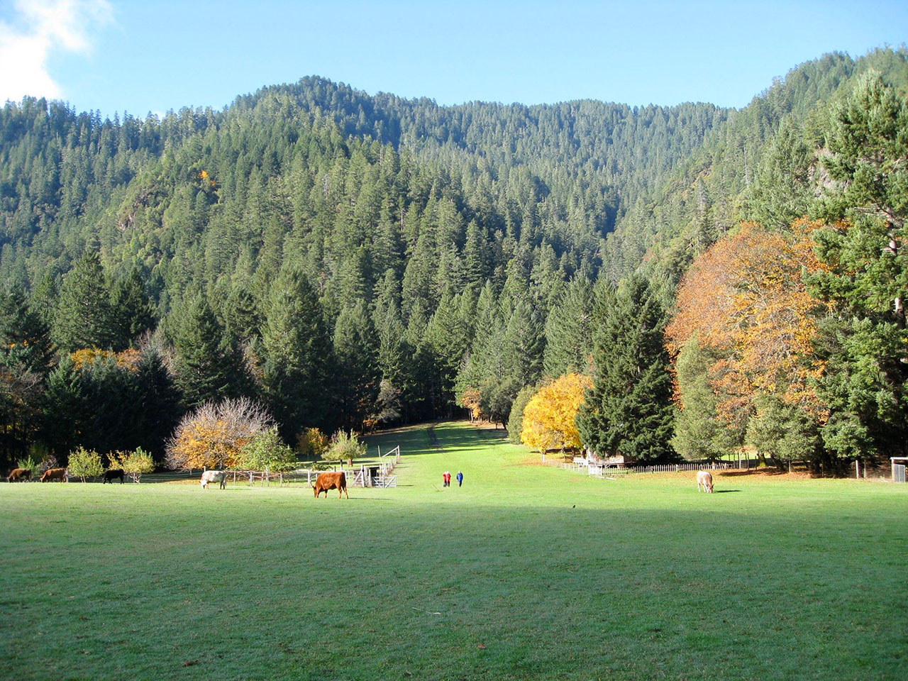 Meadow-2-Paradise-Lodge-Agness-Oregon.jpg
