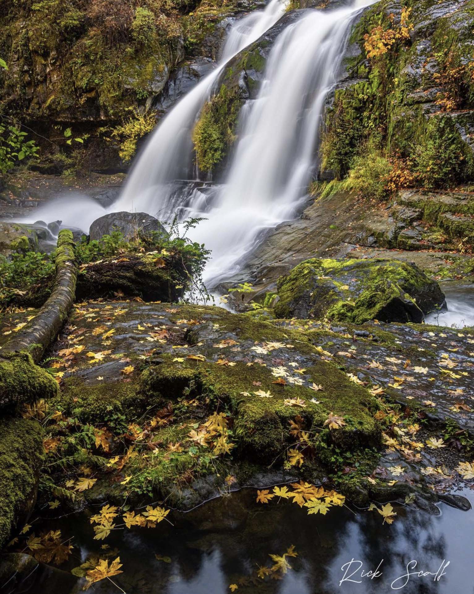 Coquille Rivers Falls in Powers, Oregon