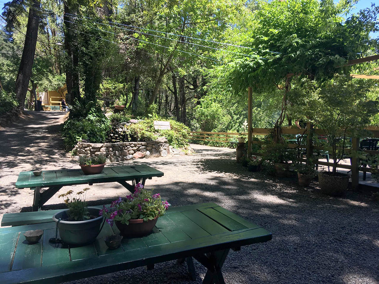 Picnic tables at Singing Springs Resort in Agness, Oregon