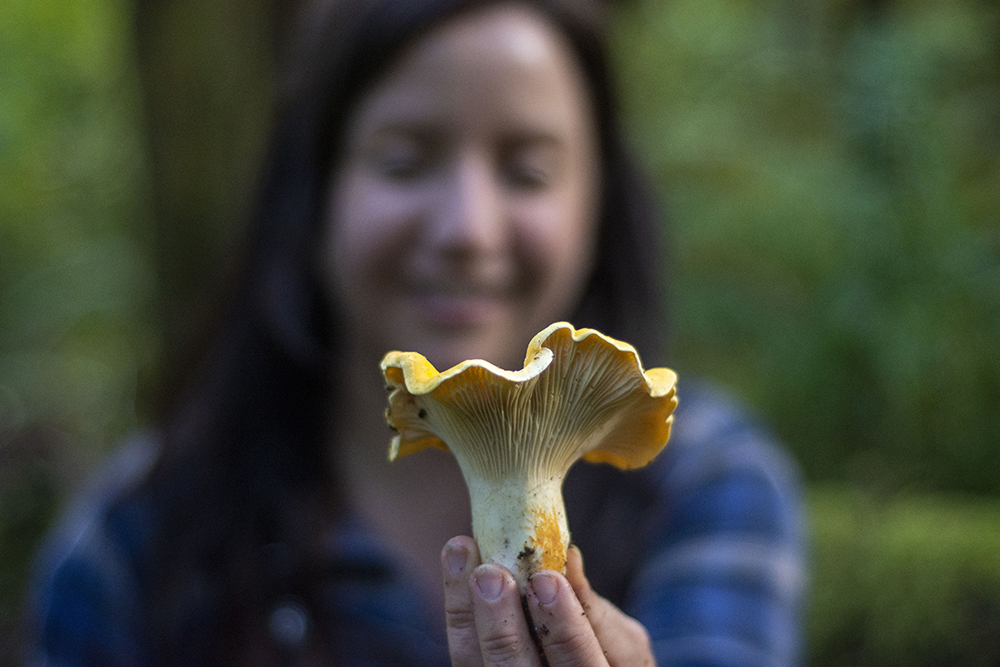Person holding chanterelle mushroom