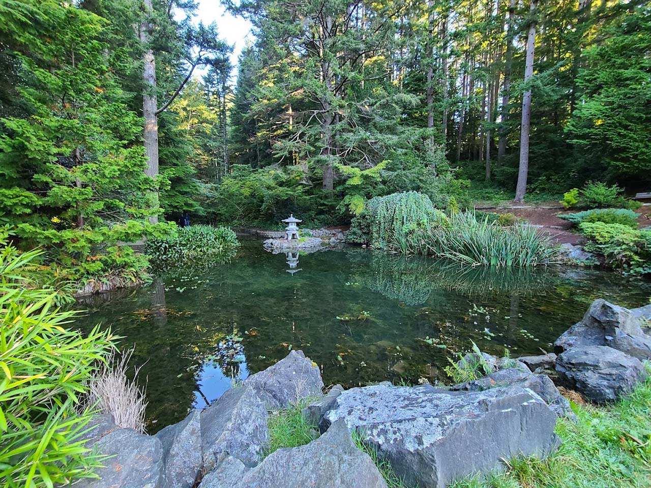 Pond at Mingus Park in Coos Bay, Oregon