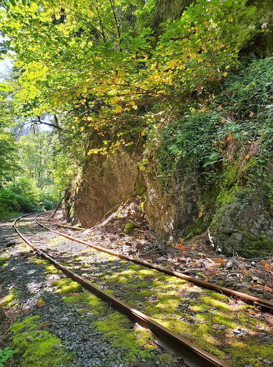 Tracks-Oregon-Coast-Railriders-Coquille-Oregon.jpg