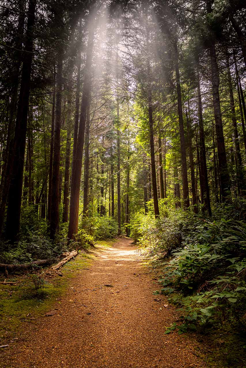 Hiking trail at South Slough in Charleston, Oregon