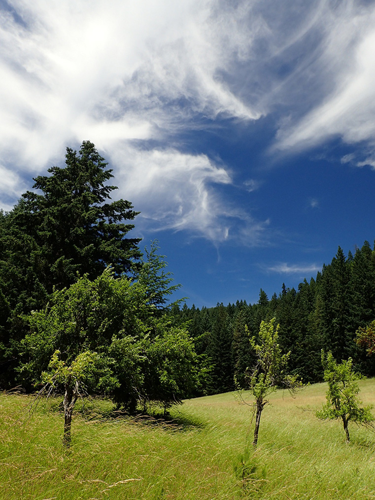 Thomas Homestead, Wild Rogue Wilderness