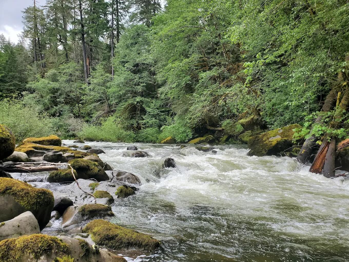 Coquille River in Powers, Oregon