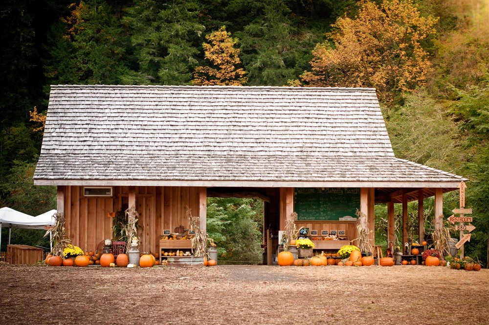Pumpkin patch building at Mahaffy Ranch near Coos Bay, Oregon