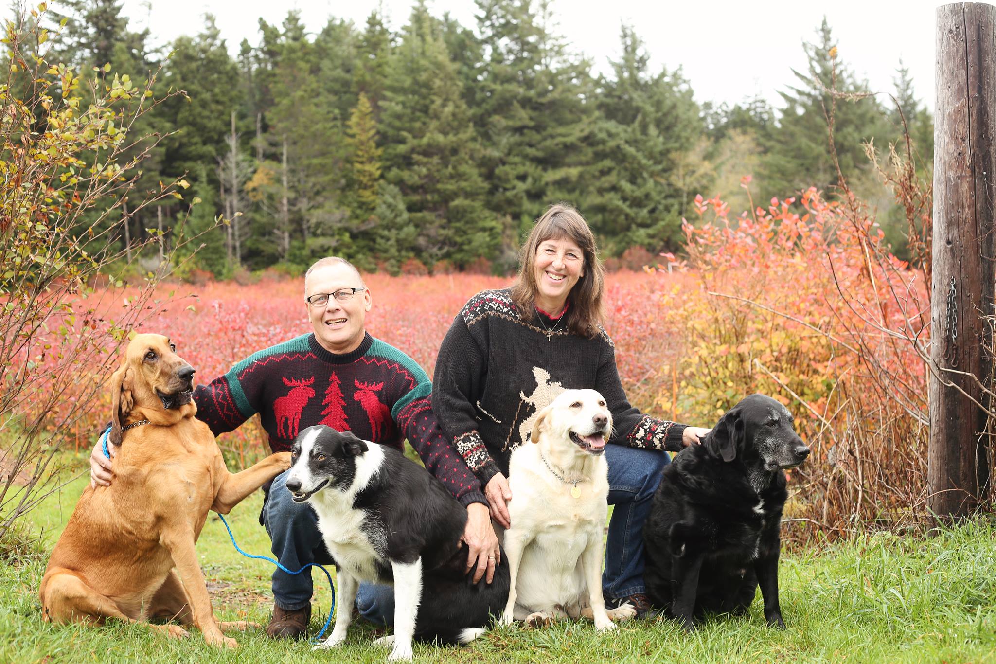 Dog-Family-Jensen-Blueberries-Langlois-Oregon.jpg