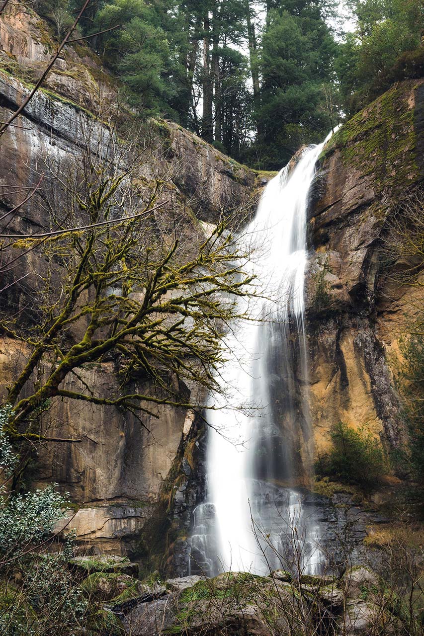 Golden-Falls-Allegany-Oregon-by-Manuela-Durson.jpg