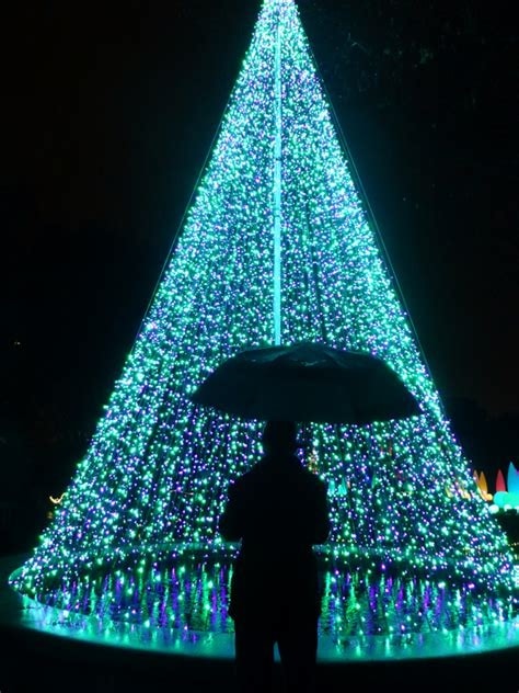 Holiday light display at Nature's Coastal Lights in Brookings, Oregon