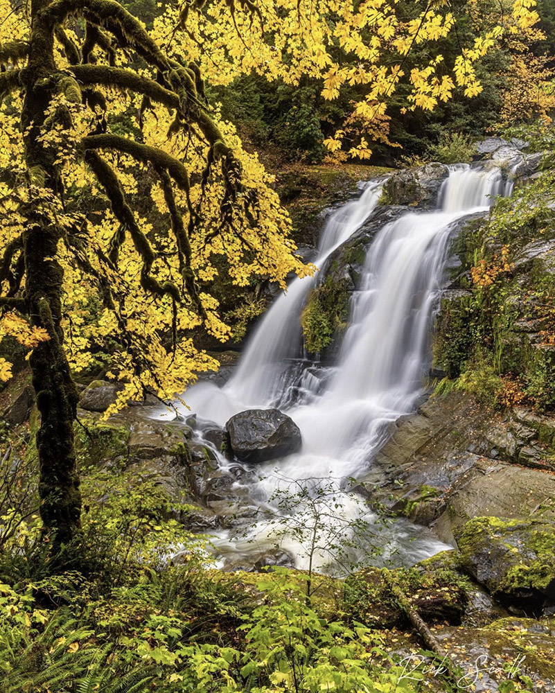 Coquille River Falls in Powers, Oregon