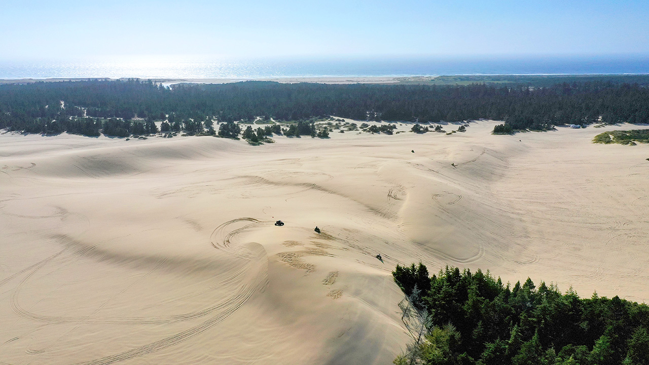 View of the ocean from the Oregon Dunes in Hauser