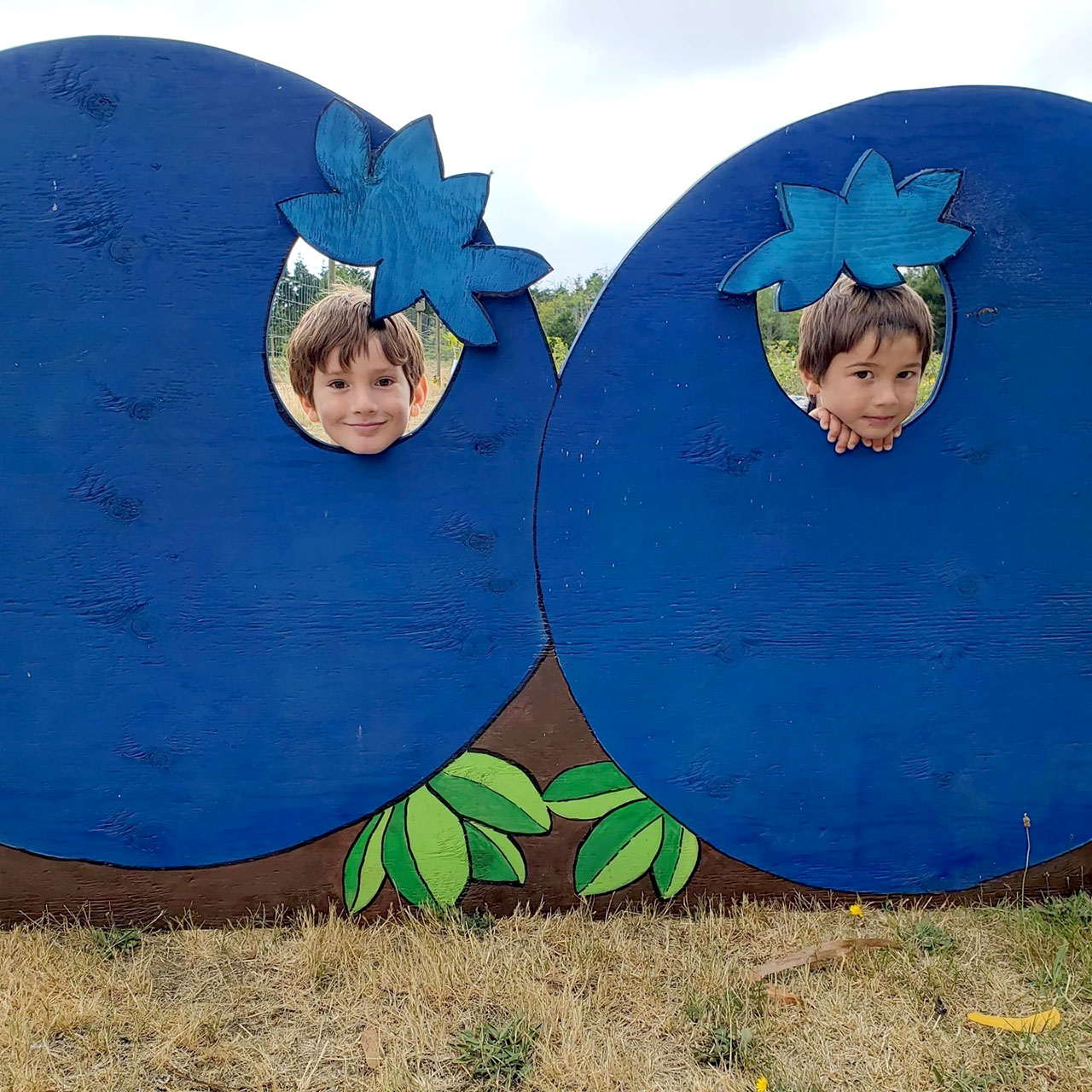 Kids-in-Blueberries-Valentine-Blueberries-Langlois-Oregon.jpg