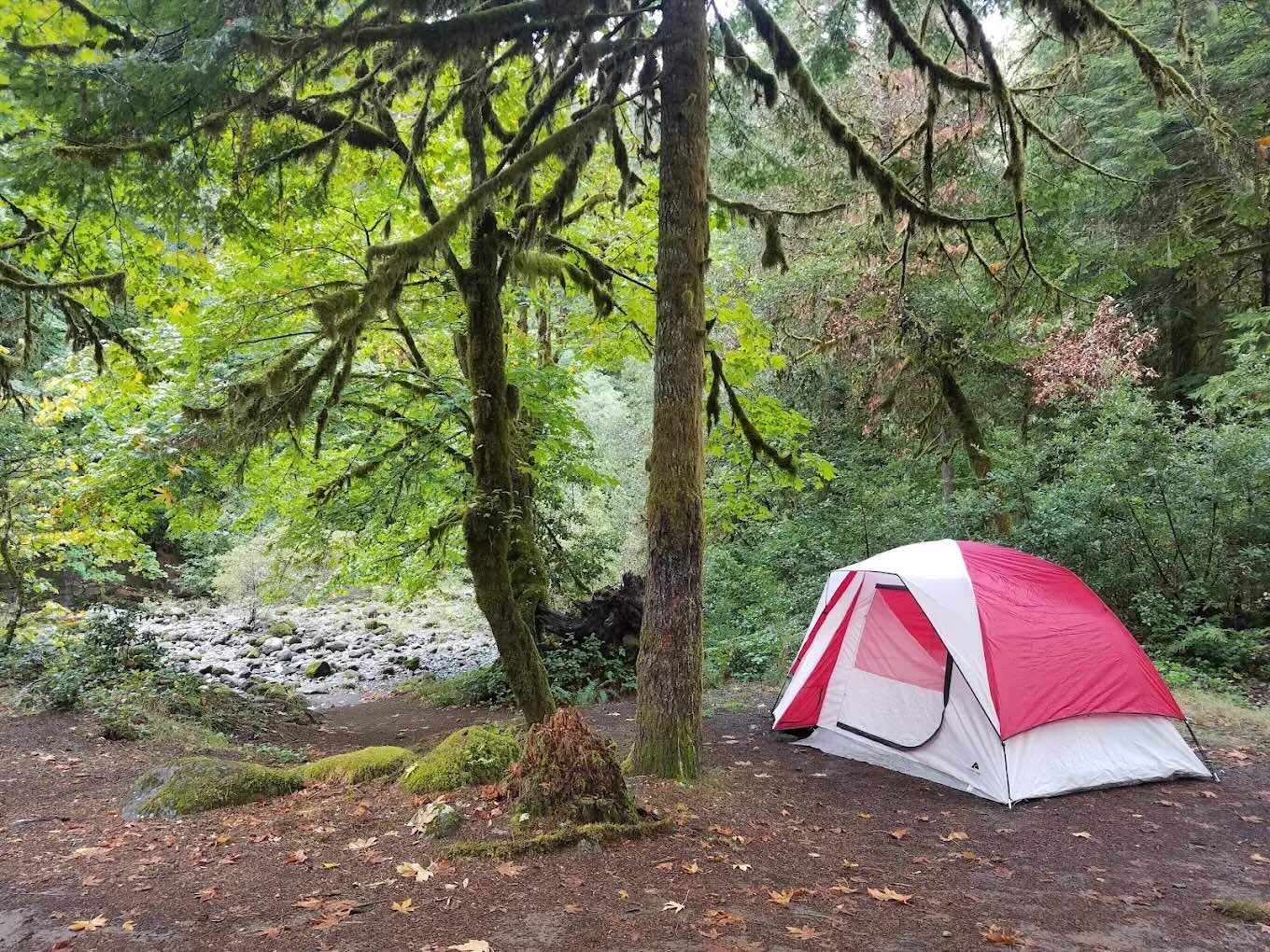 Little red and white tent set up at Island Campground near Powers, Oregon