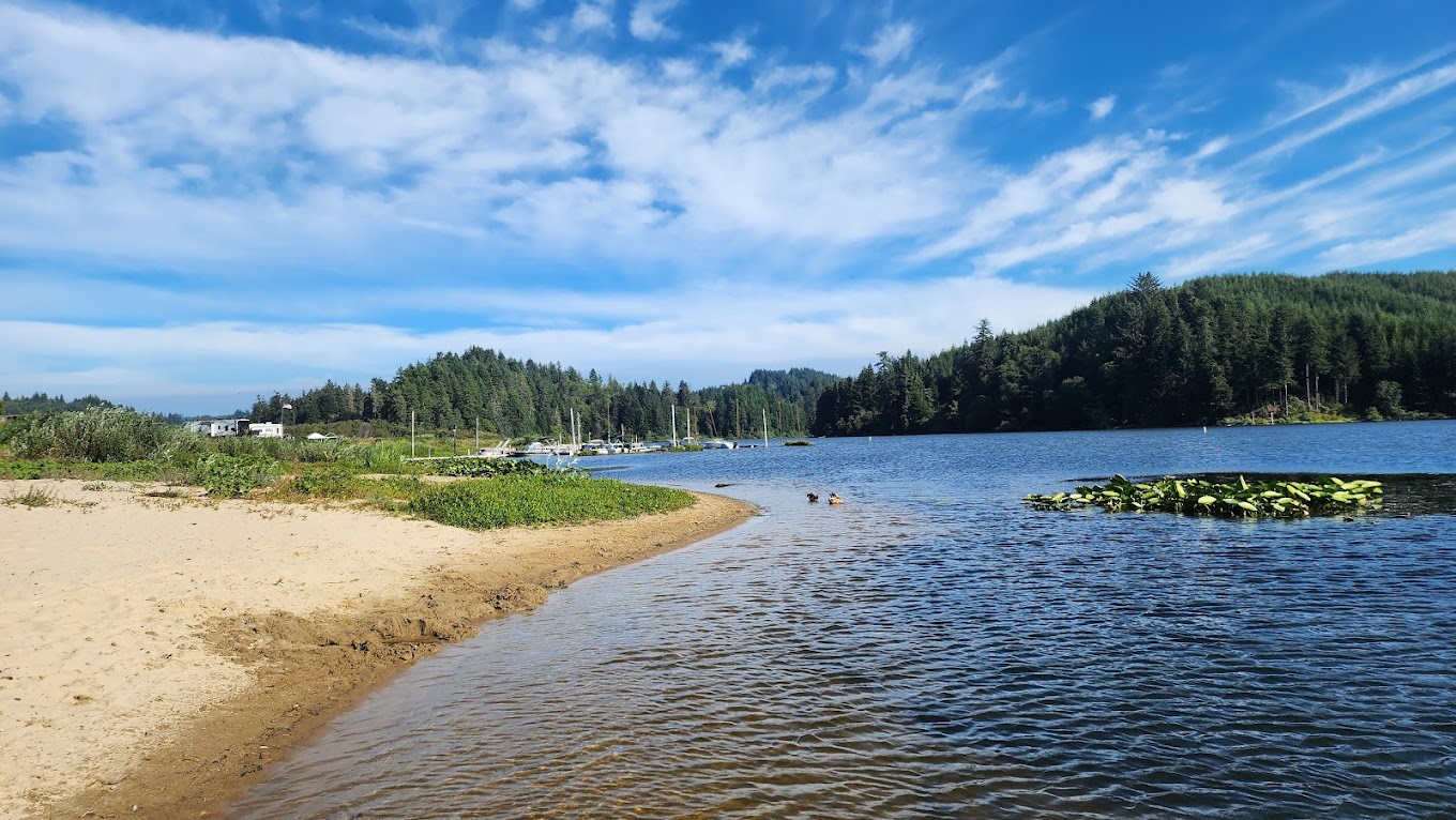Swimming area at Wulfy Beach at Tenmile Lake County Park and Campground in Lakeside, Oregon