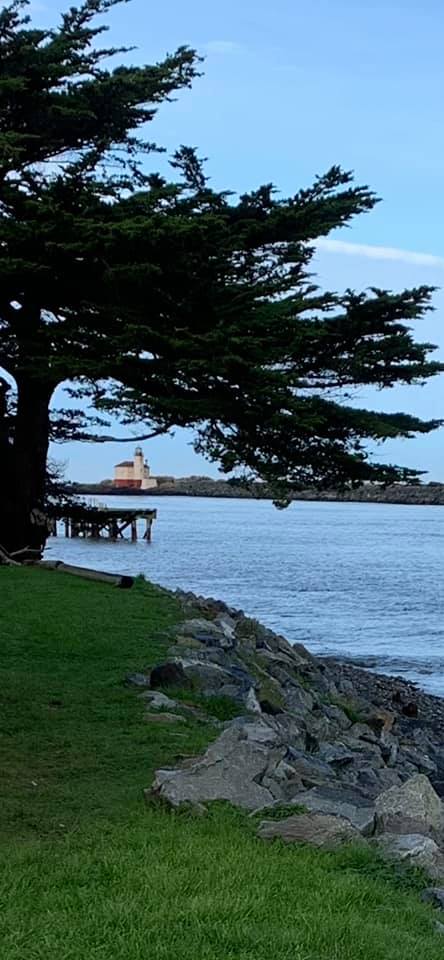 Ocean view with tree and Coquille River Lighthouse in Bandon, Oregon