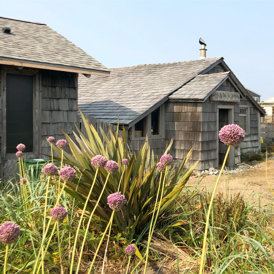 Exterior view of garden and cottage at South Jetty Cottage in Bandon, Oregon