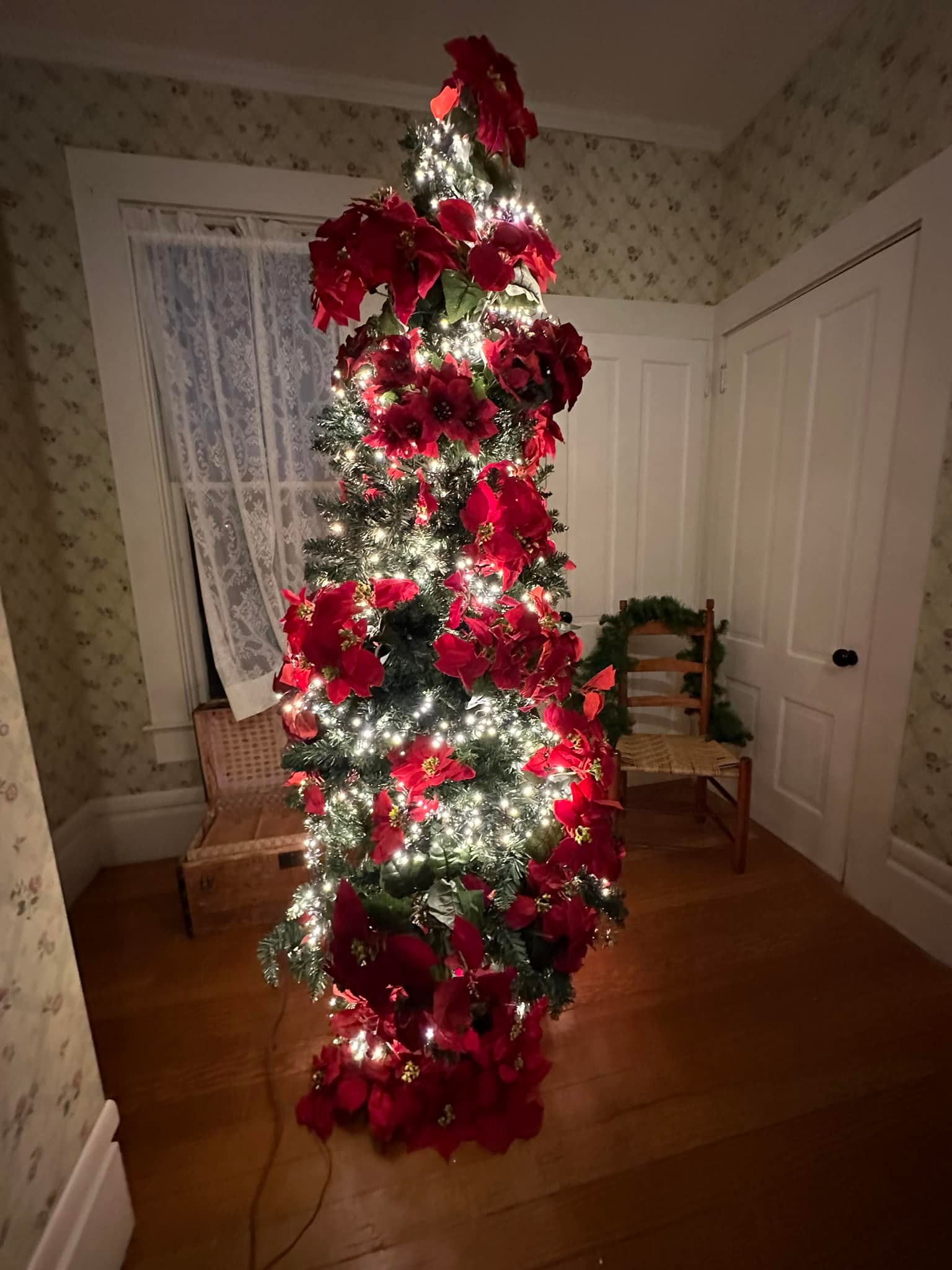 Christmas trees at Hughes House in Port Orford, Oregon