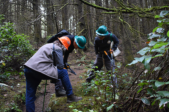 People maintaining the trails on the Oregon Coast with the Trailkeepers of Oregon