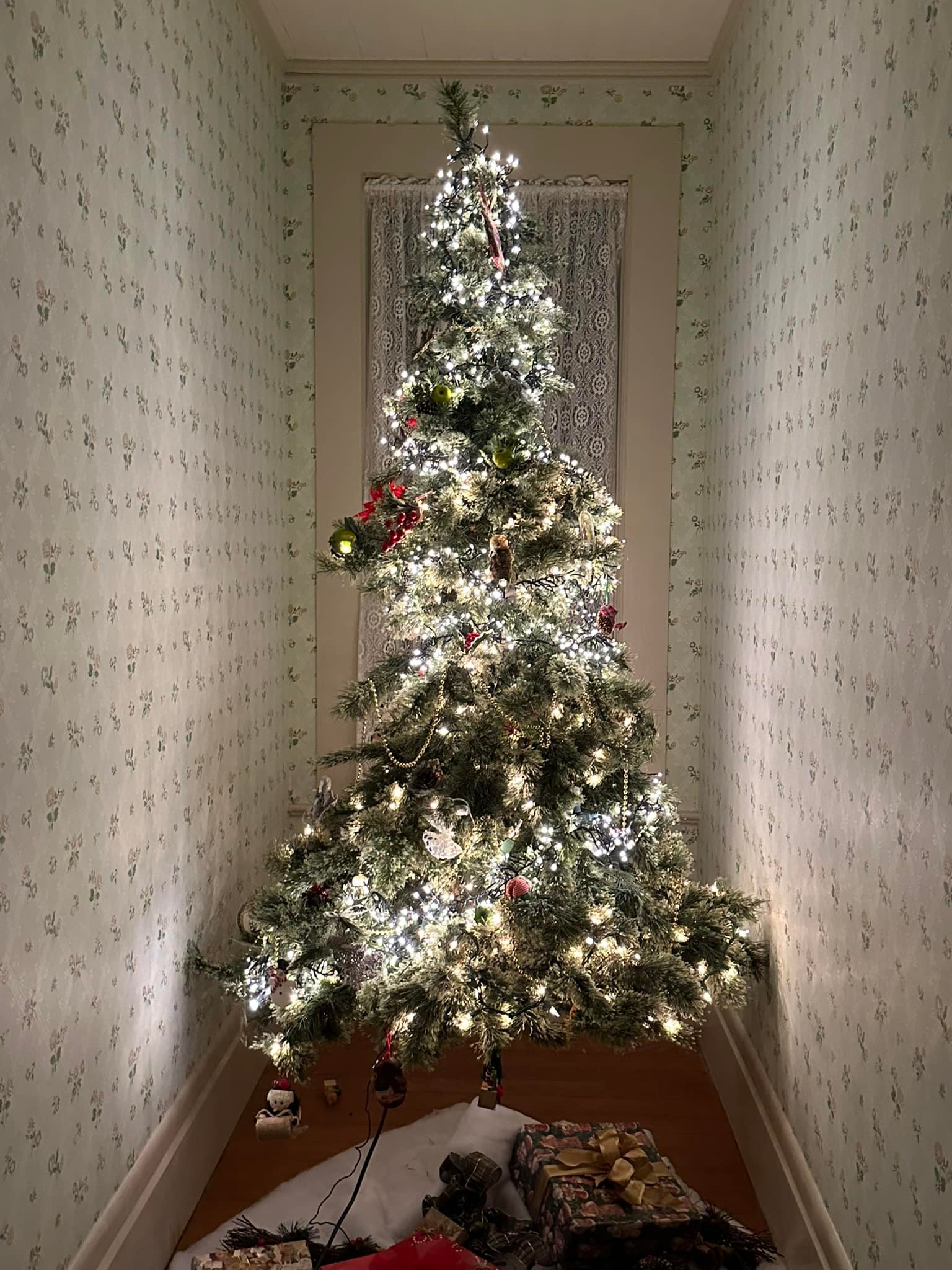 Christmas trees at Hughes House in Port Orford, Oregon