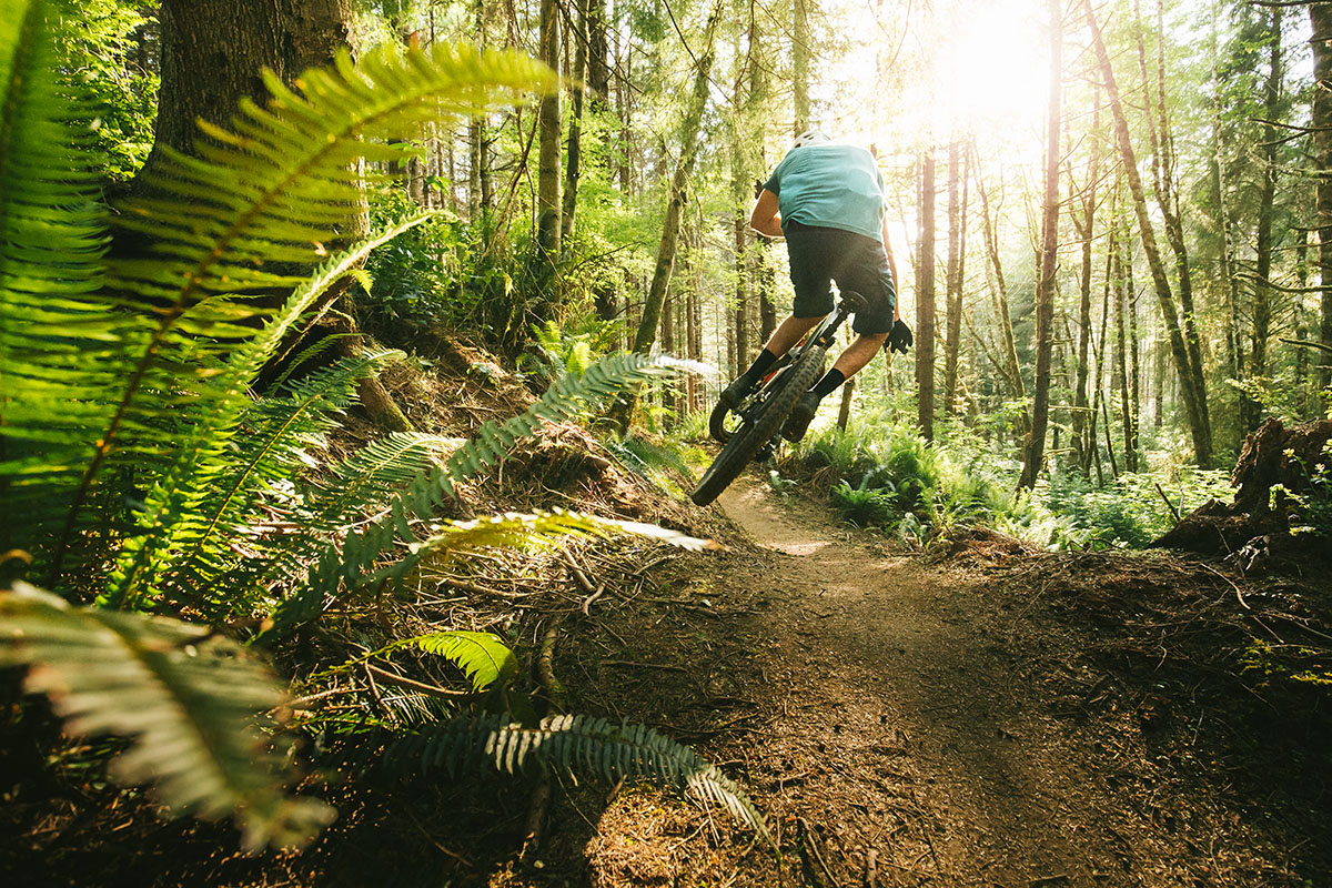 Man on mountain bike at Whiskey Run Trails in Bandon, Oregon