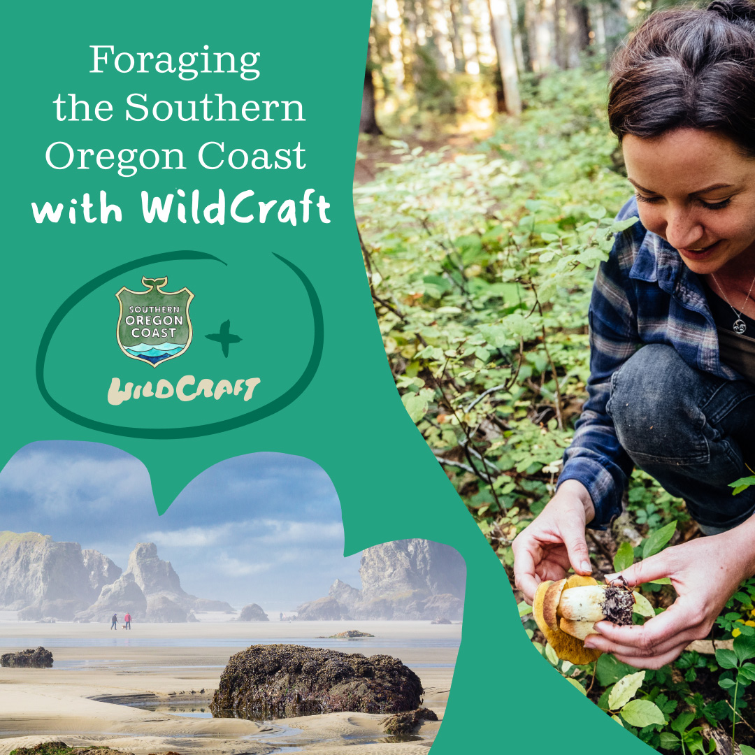 Event flyer for Foraging the Southern Oregon Coast Workshops presented by Travel Southern Oregon Coast and Wildcraft