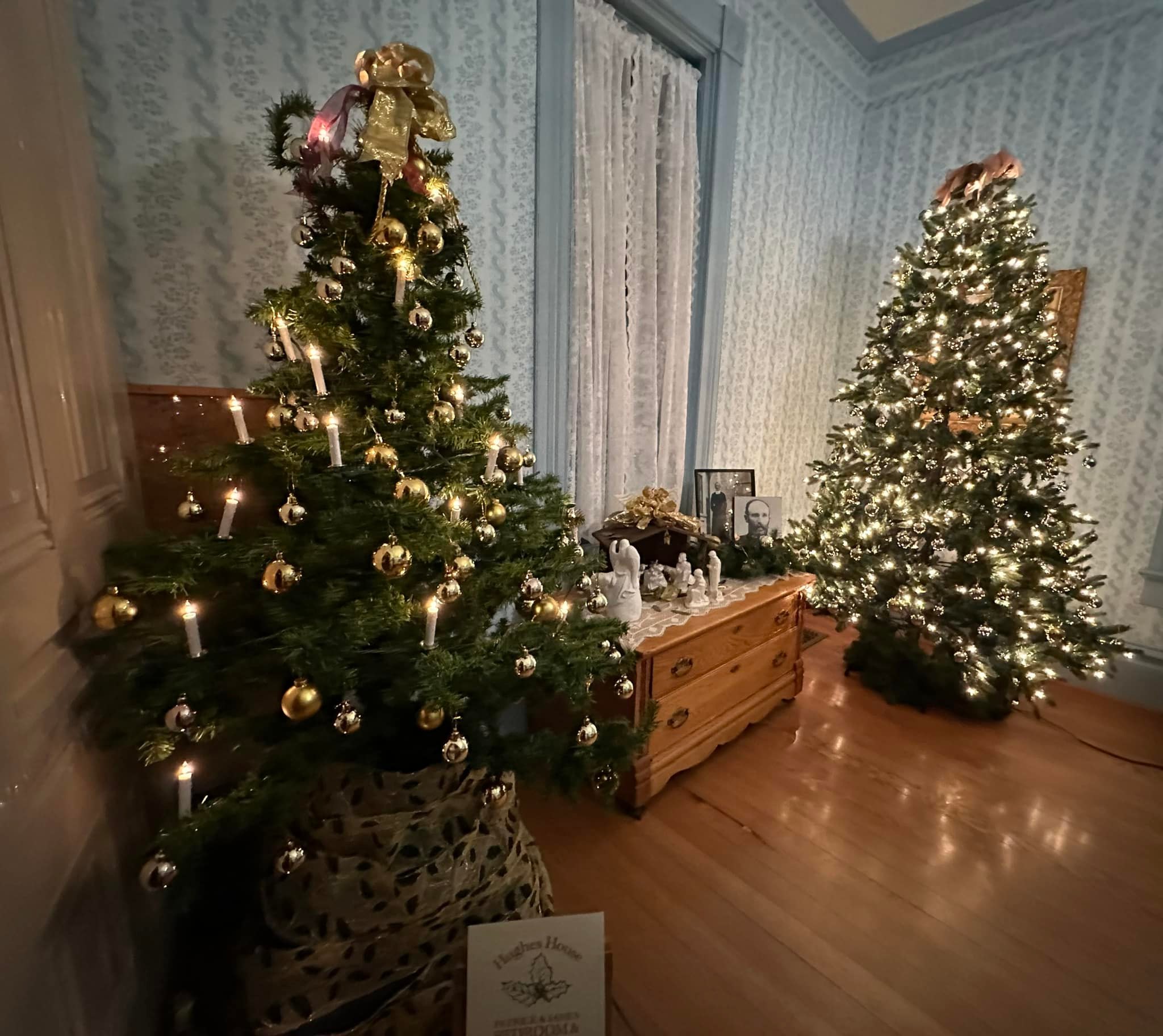 Christmas trees at Hughes House in Port Orford, Oregon