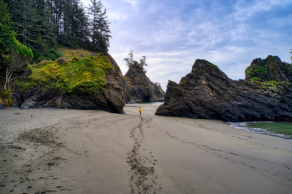 Person walking on the beach in Brookings, Oregon