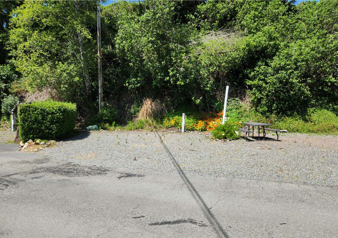 Camping spot at Driftwood RV Park in Brookings, Oregon