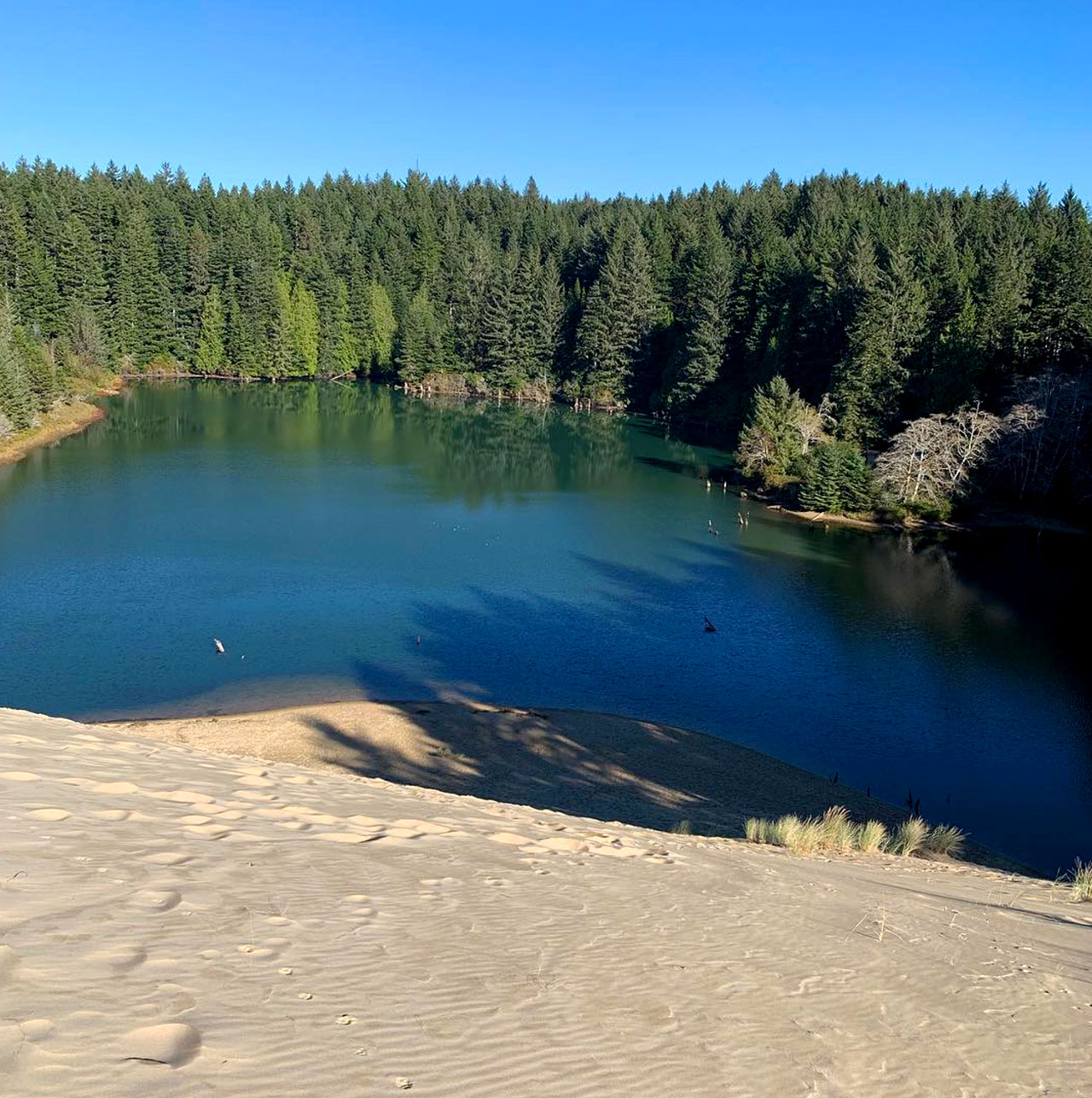 View from the top of the dune at Hall Lake in Lakeside, Oregon