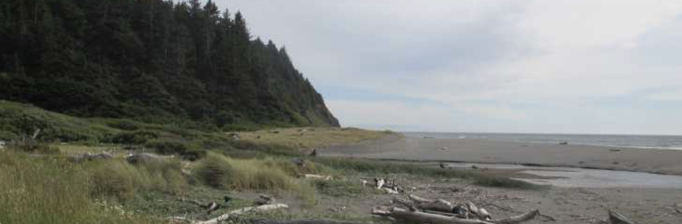 Arizona-Beach-Group-Camp-Ophir-Oregon-2.jpg