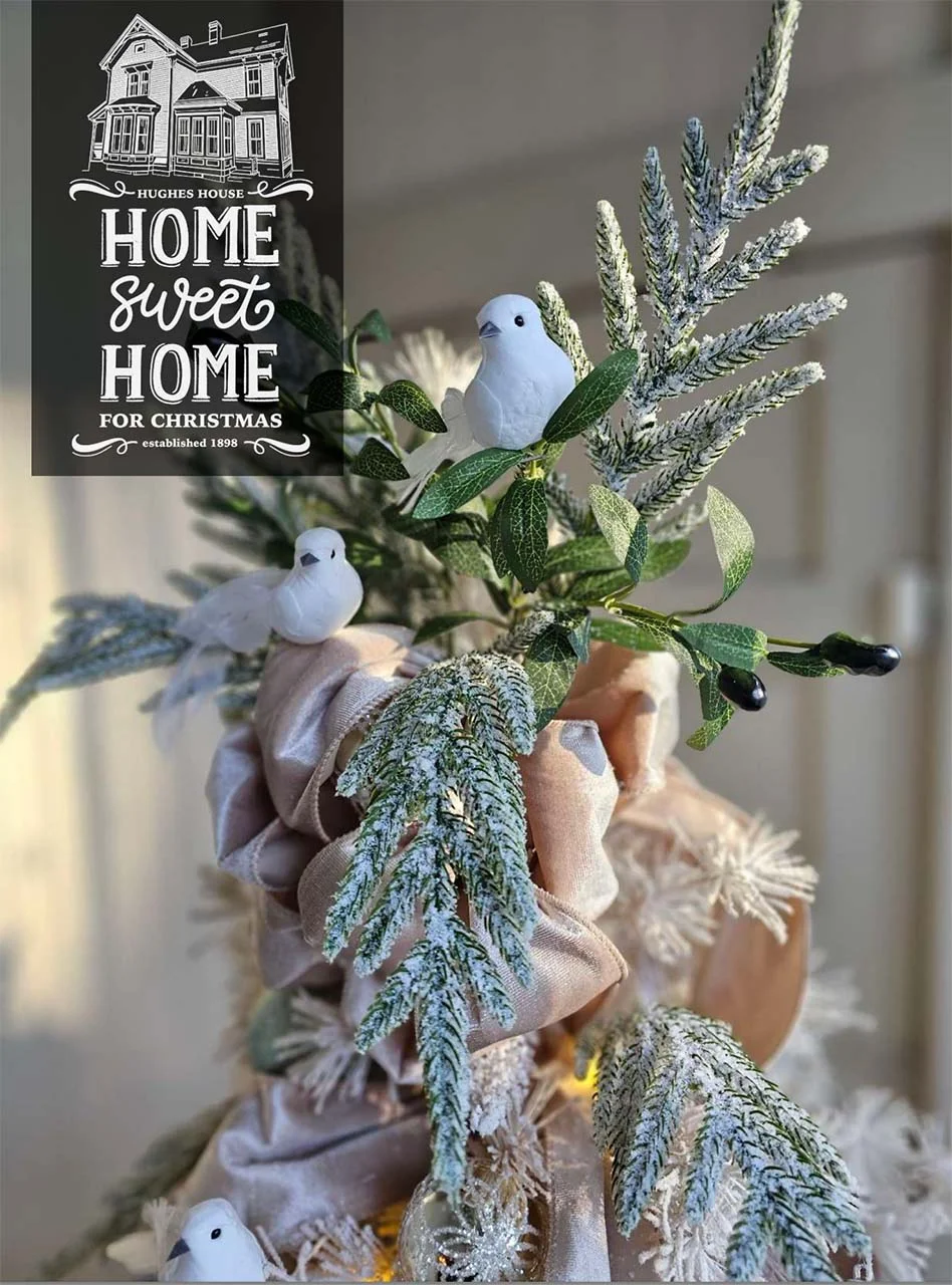 hsh-doves - Rebecca Malamud-Evans.jpg
