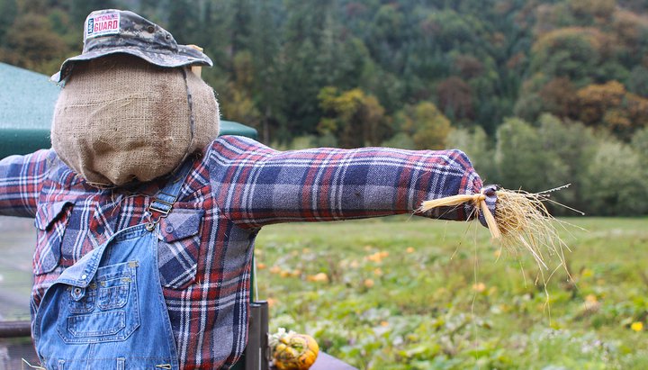 Scarecrow at Mahaffy Ranch near Coos Bay, Oregon