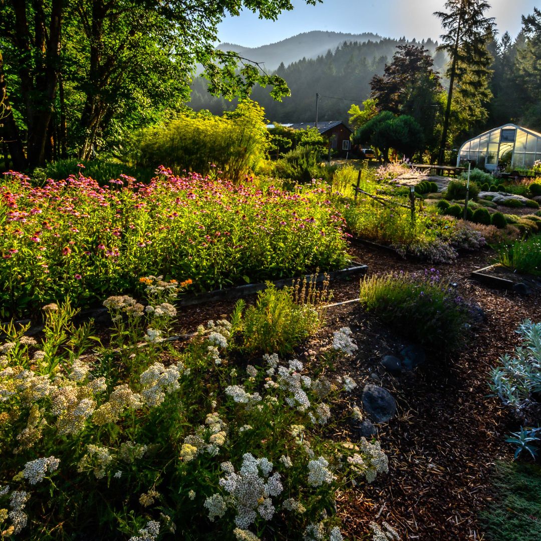 The Thyme Garden, Alsea, Oregon