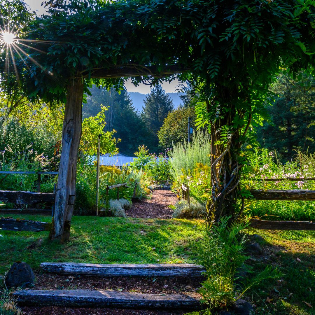 The Thyme Garden, Alsea, Oregon