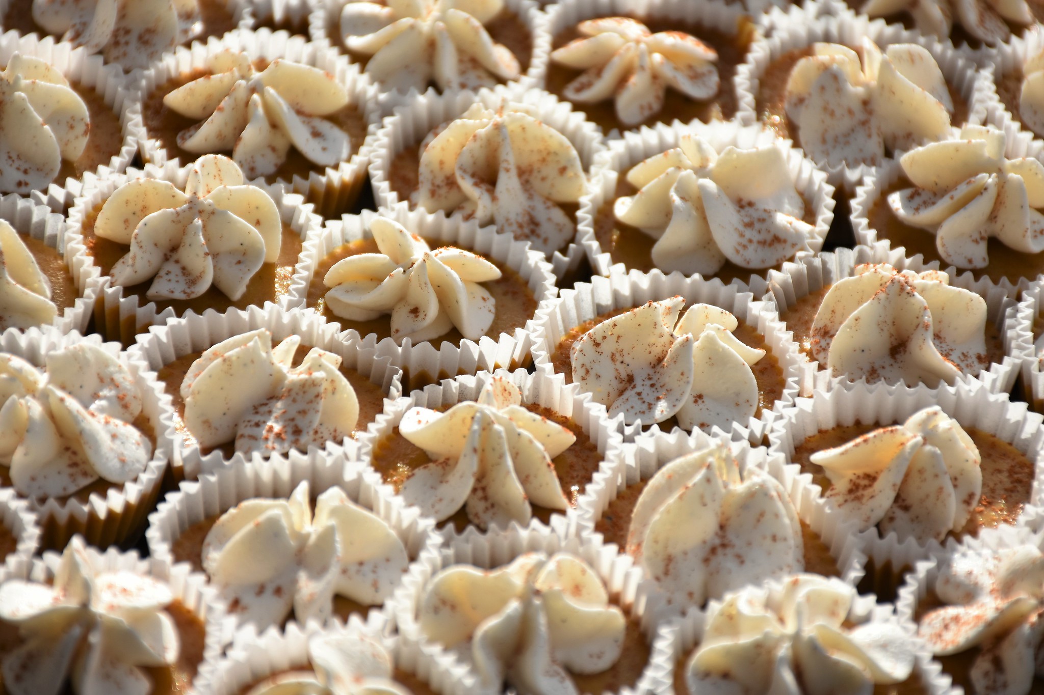 Close up pumpkin spice cupcakes.