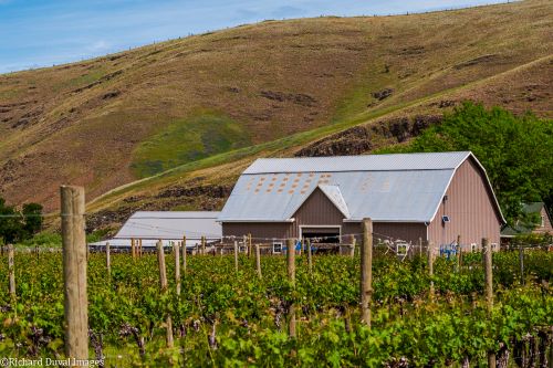 Mongata Winery