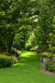 Bennett Botanical Gardens