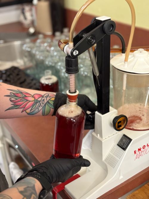 bottling Ruby D Quinine Tonic