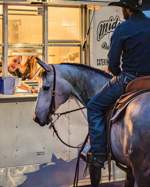 Pendleton Cattle Barons