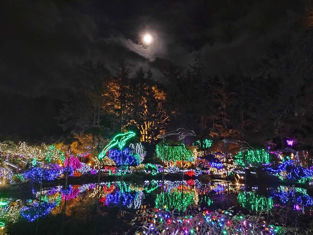 Moon shining over a pond lit with Christmas lights