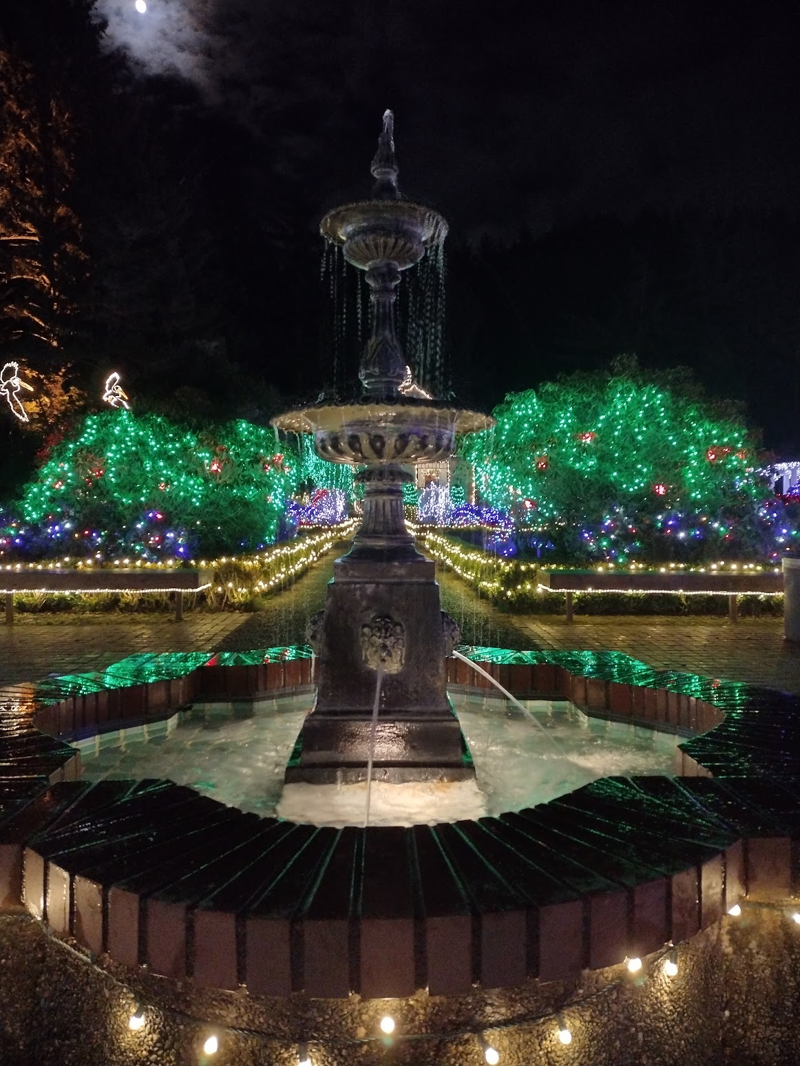 fountain at ashore acres surrounded by christmas lights