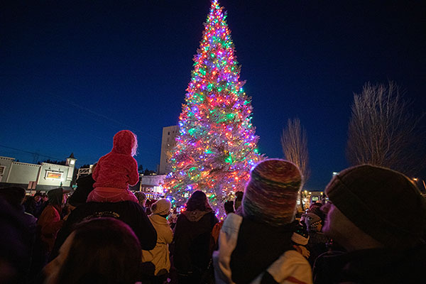 the backs of a crowd looking up at a 30 foot lighted christmas tree