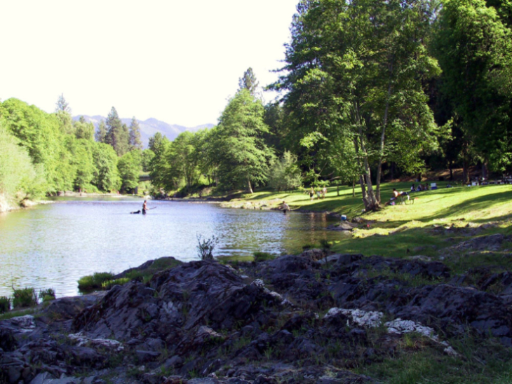 Green grass along the smooth river