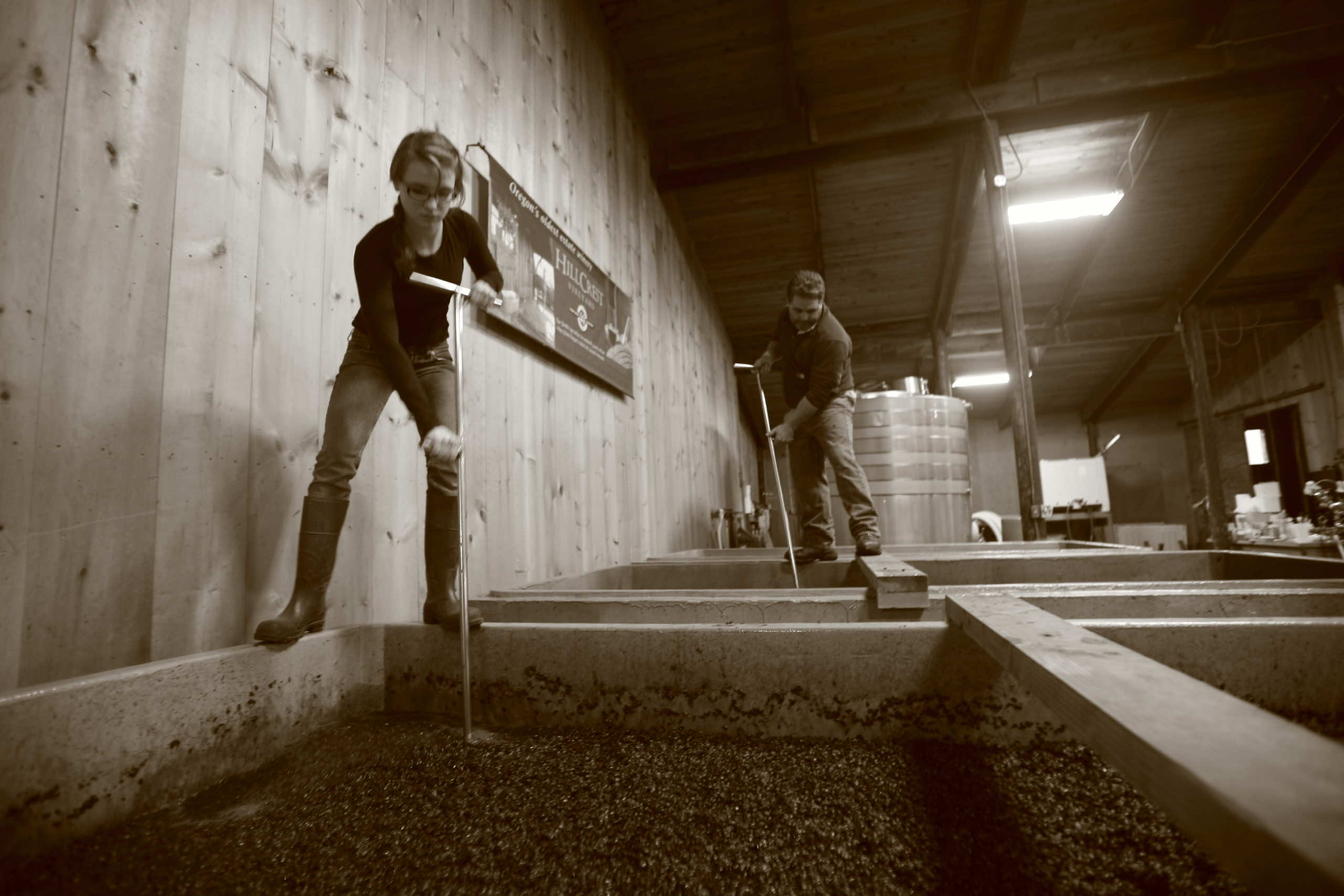 Black and white image of making wine